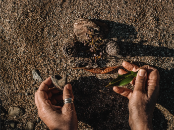 Contact Jaq - Image of person interacting with natural elements on the ground using their hands
